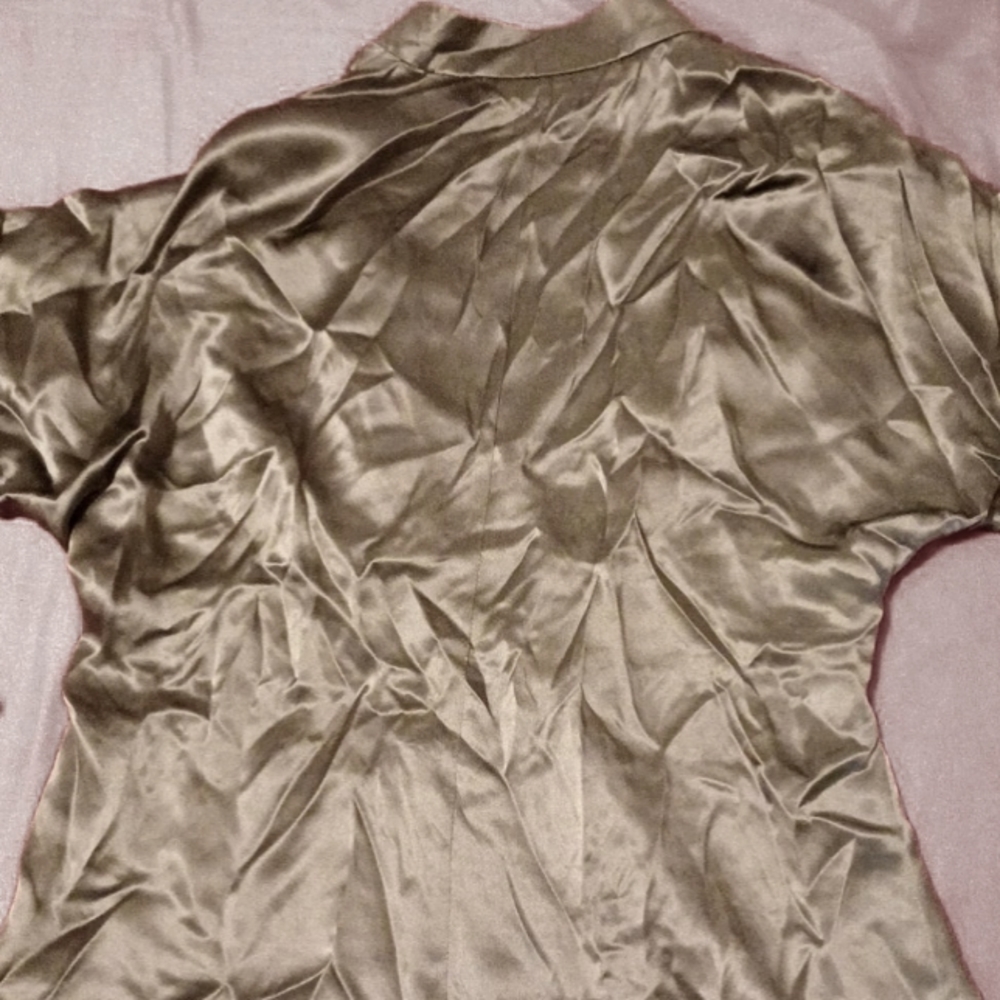 Women Silk Blouse - Picture 4 of 6
